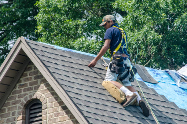 Best Gutter Installation and Roofing  in Vilge St George, LA